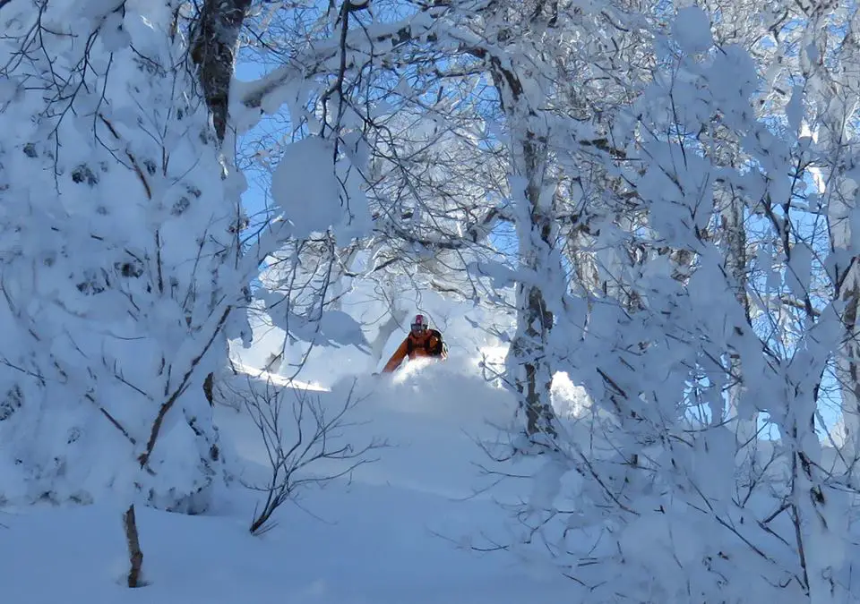 Powder at Zao Onsen