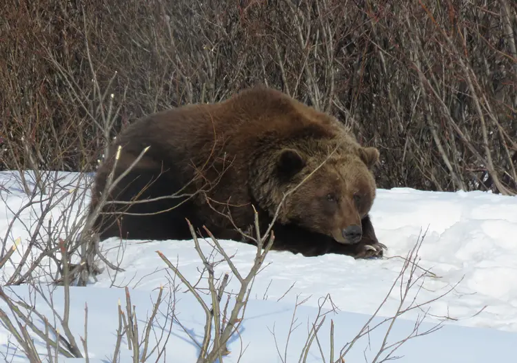 Conservation center: he'd just woken up