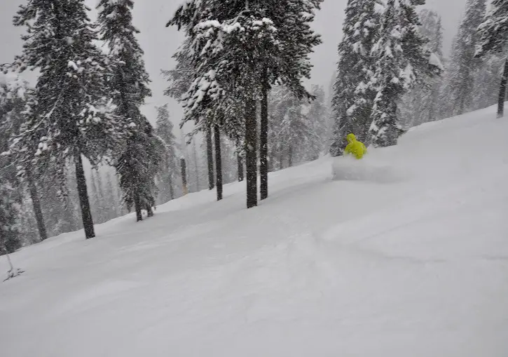 Perfect glade skiing at Baldy.