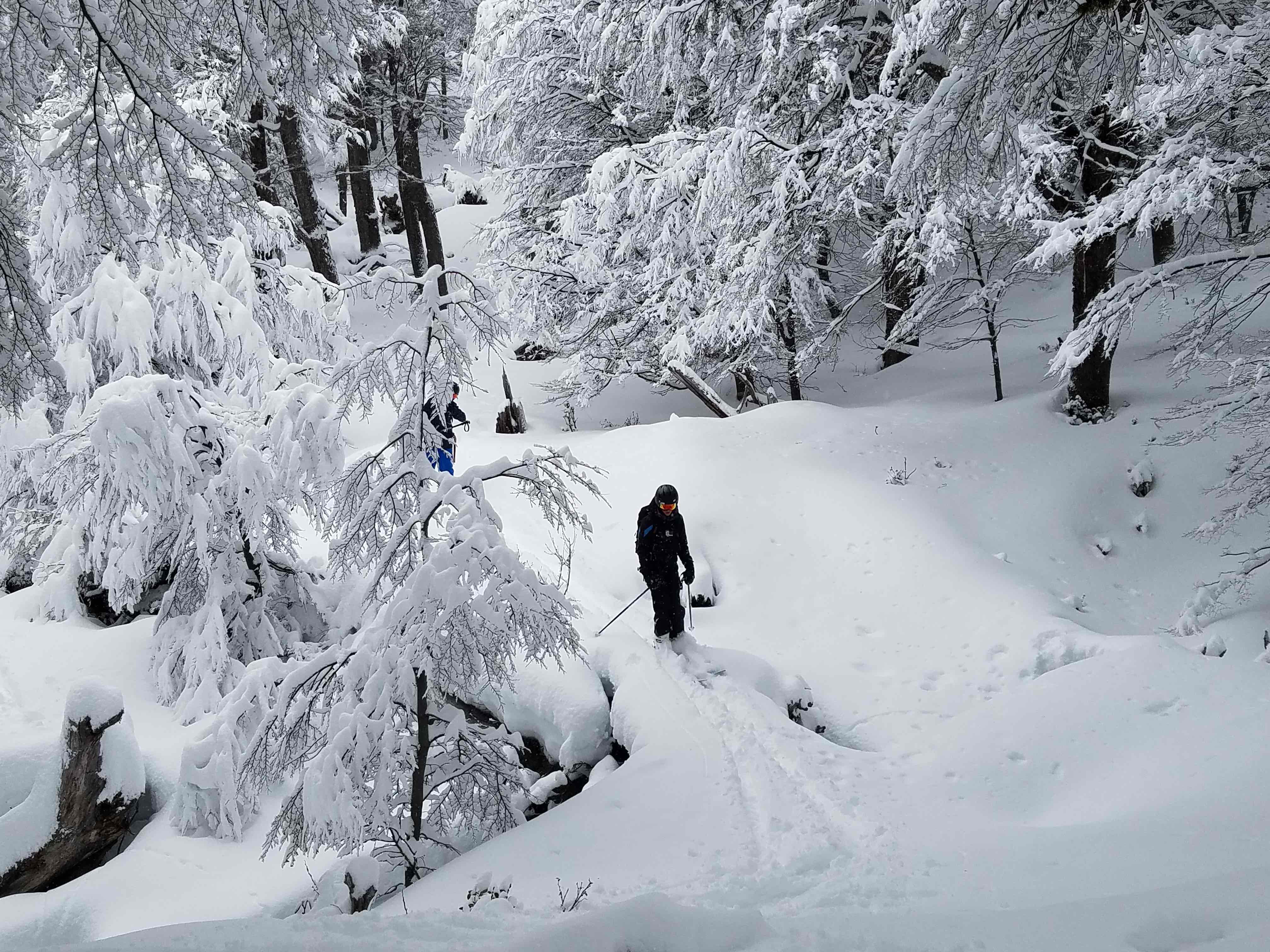 Great tree skiing