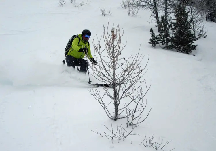 A spot of powder in the Larch area