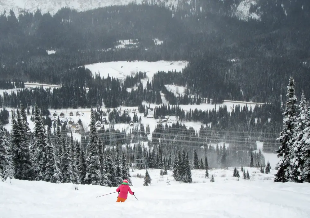 Mighty ugly power lines cross the ski resort