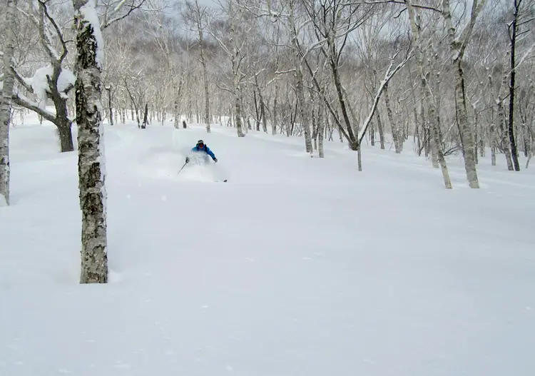 GB showing us some untracked powder