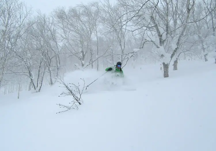 Plenty of great tree skiing!