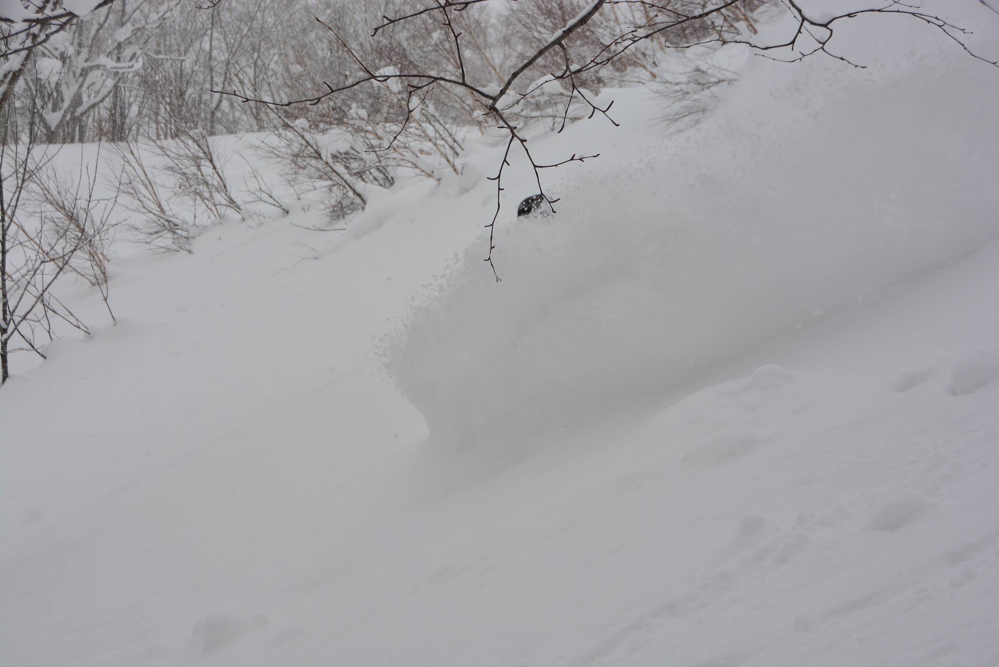 The joys of storm skiing