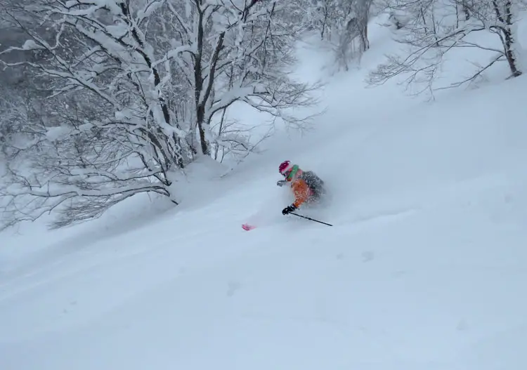 A small bowl with gorgeous powder