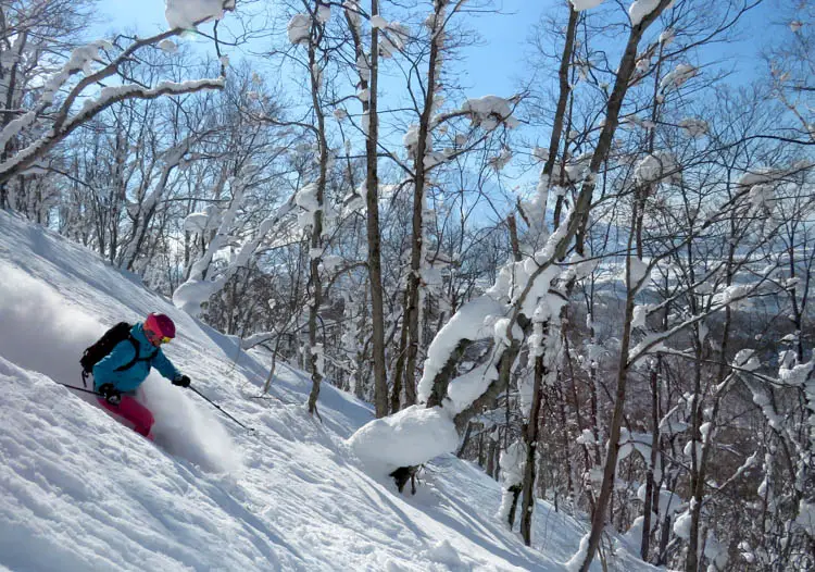 Lovely tree skiing