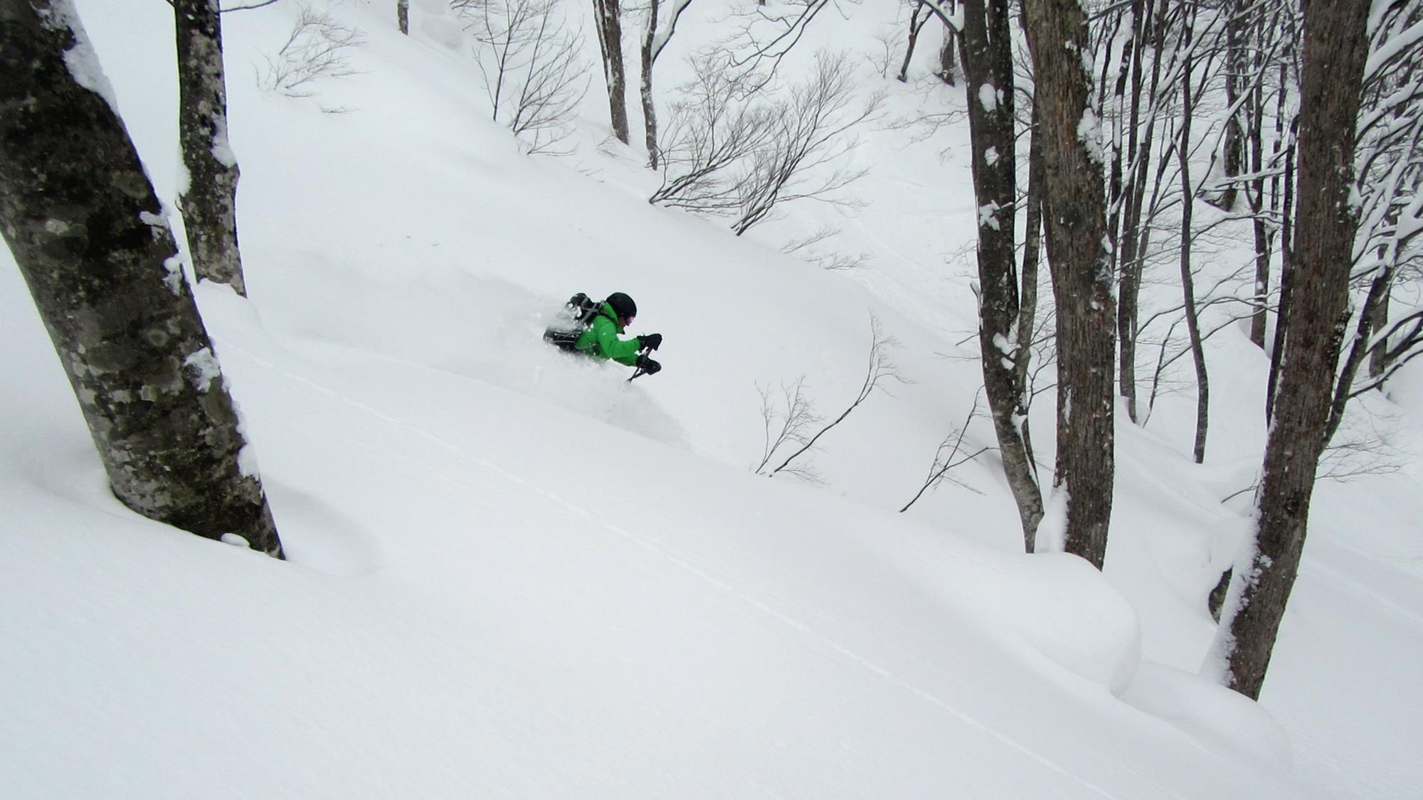 Lovely tree skiing