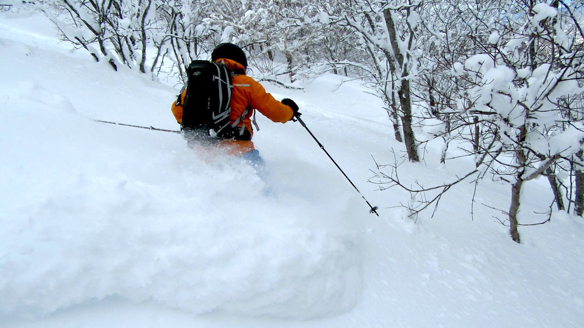 Nice Hokkaido powder