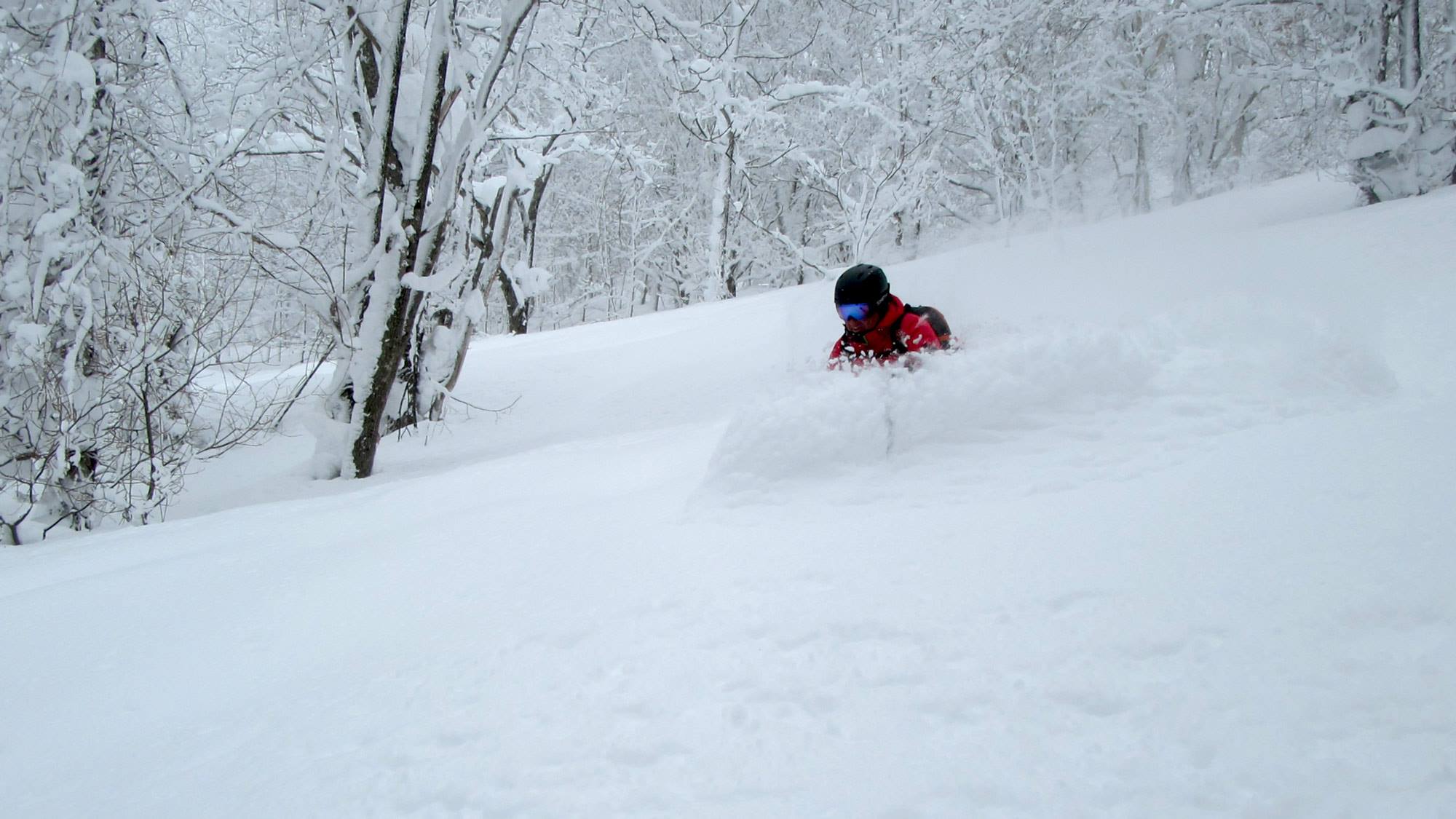 Delicious Central Hokkaido powder