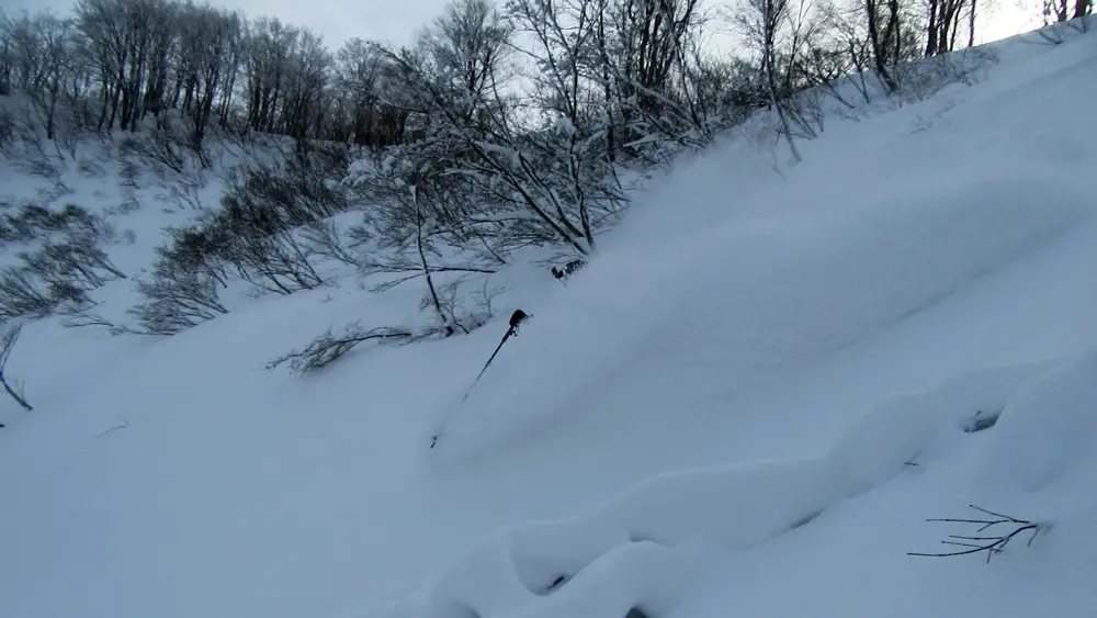 A very short pitch of powder