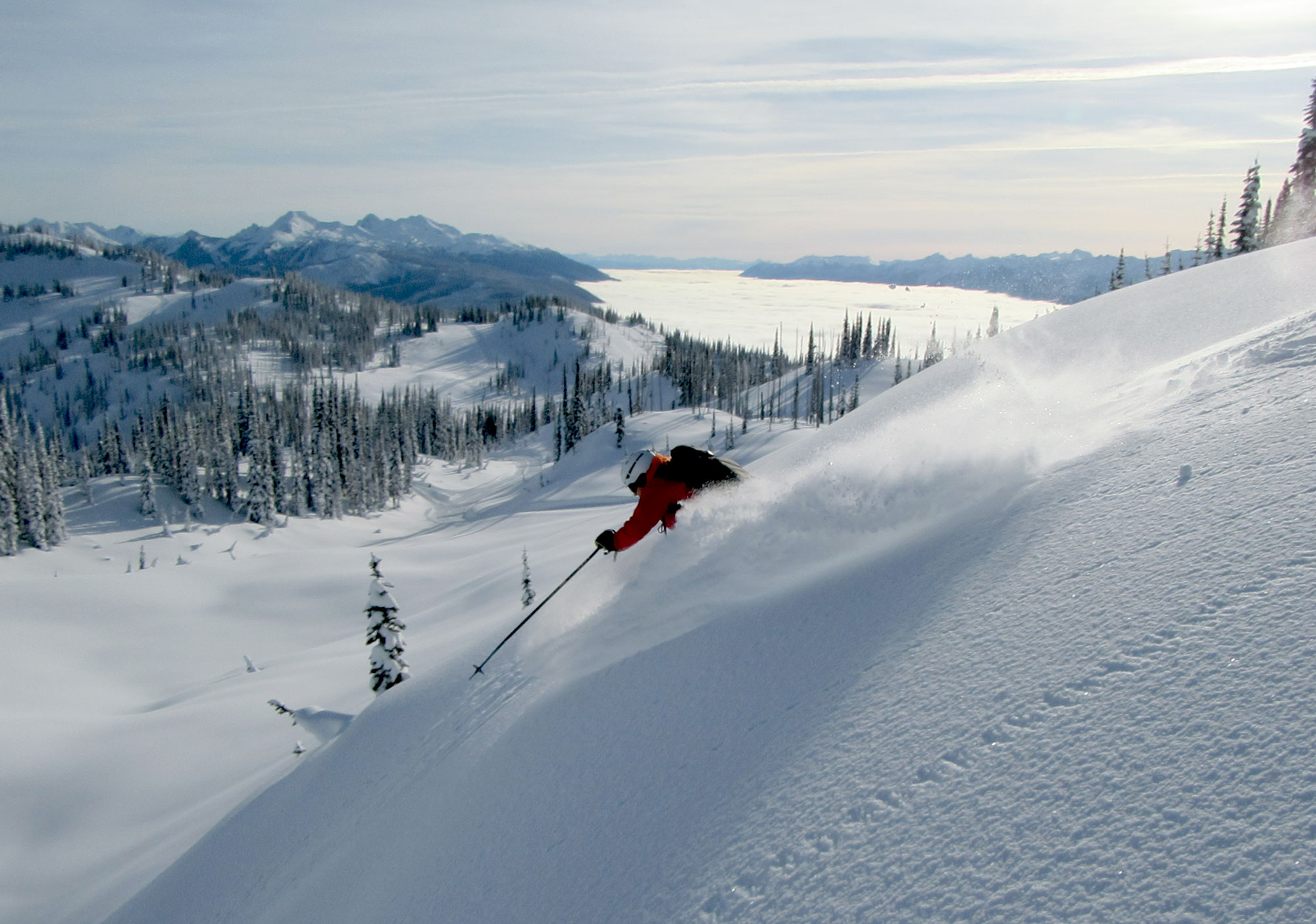 Pristine Powder