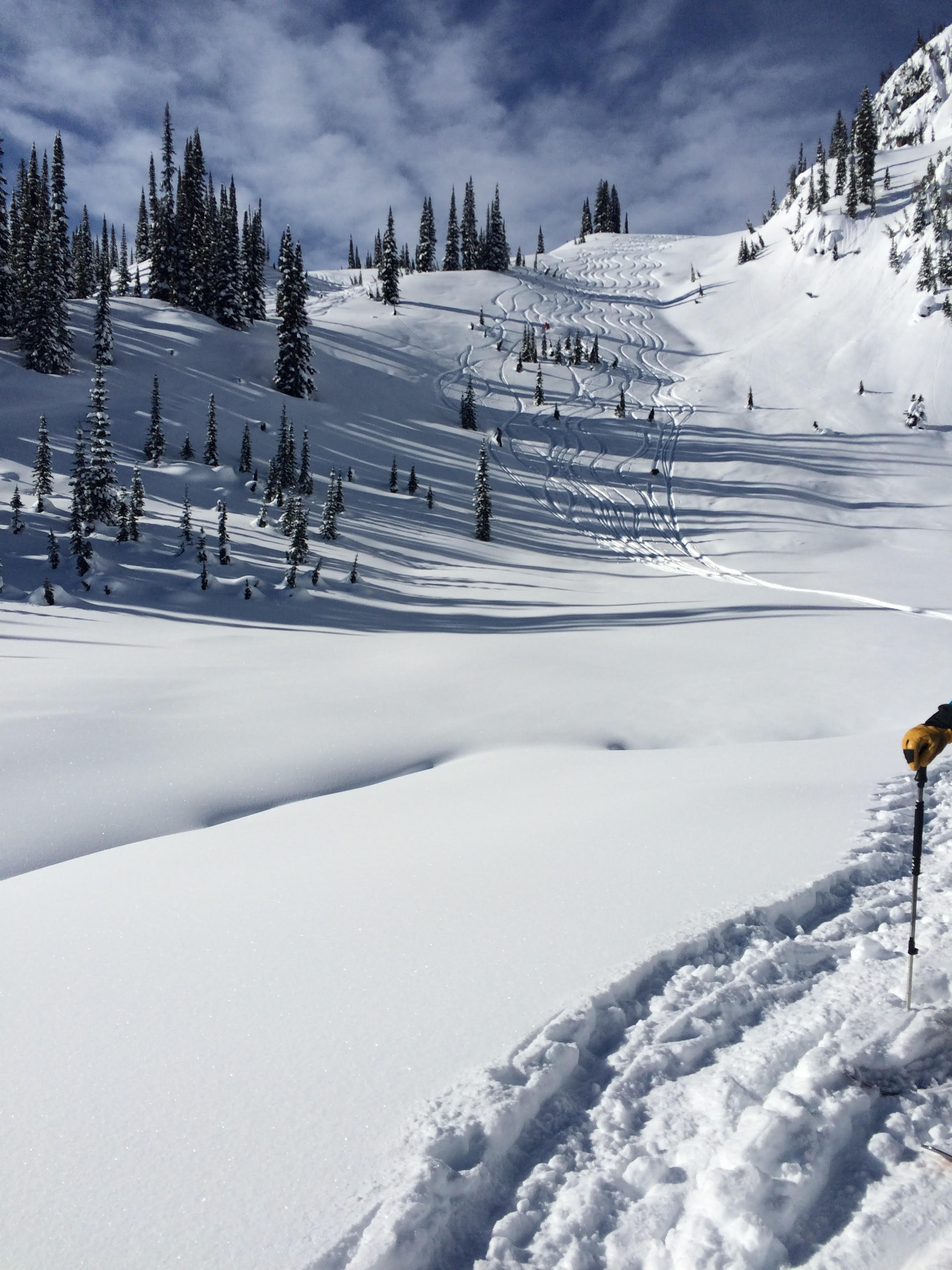 Typical tracks at the start of a run