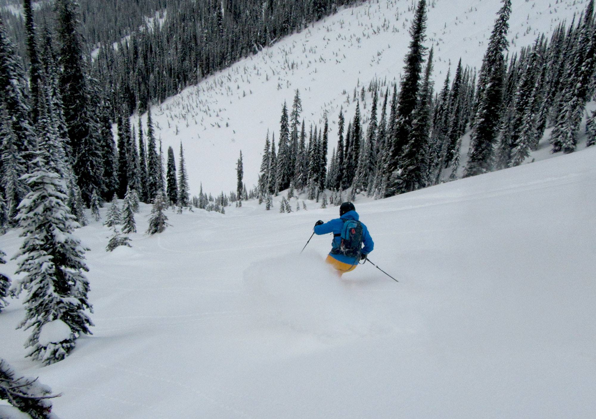 Some open zones amongst the trees