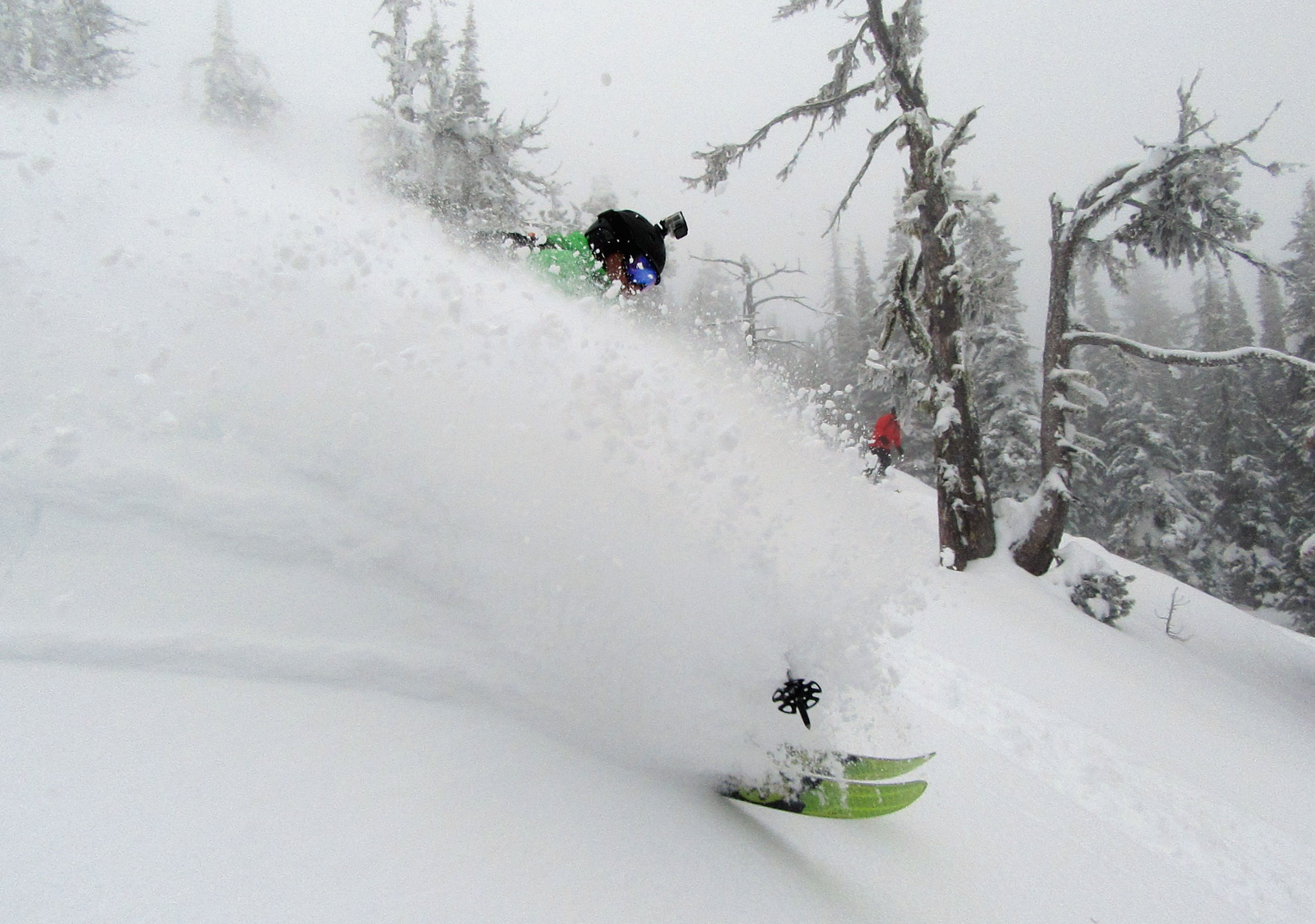 Top Dog shredding pow