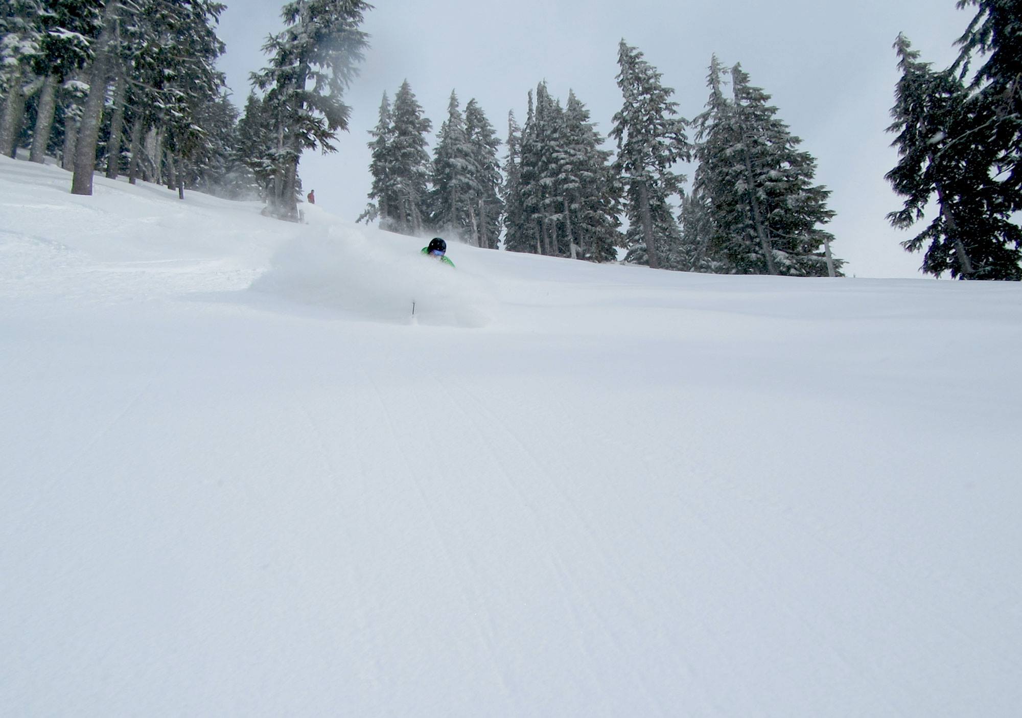 We lucked in with a good powder day