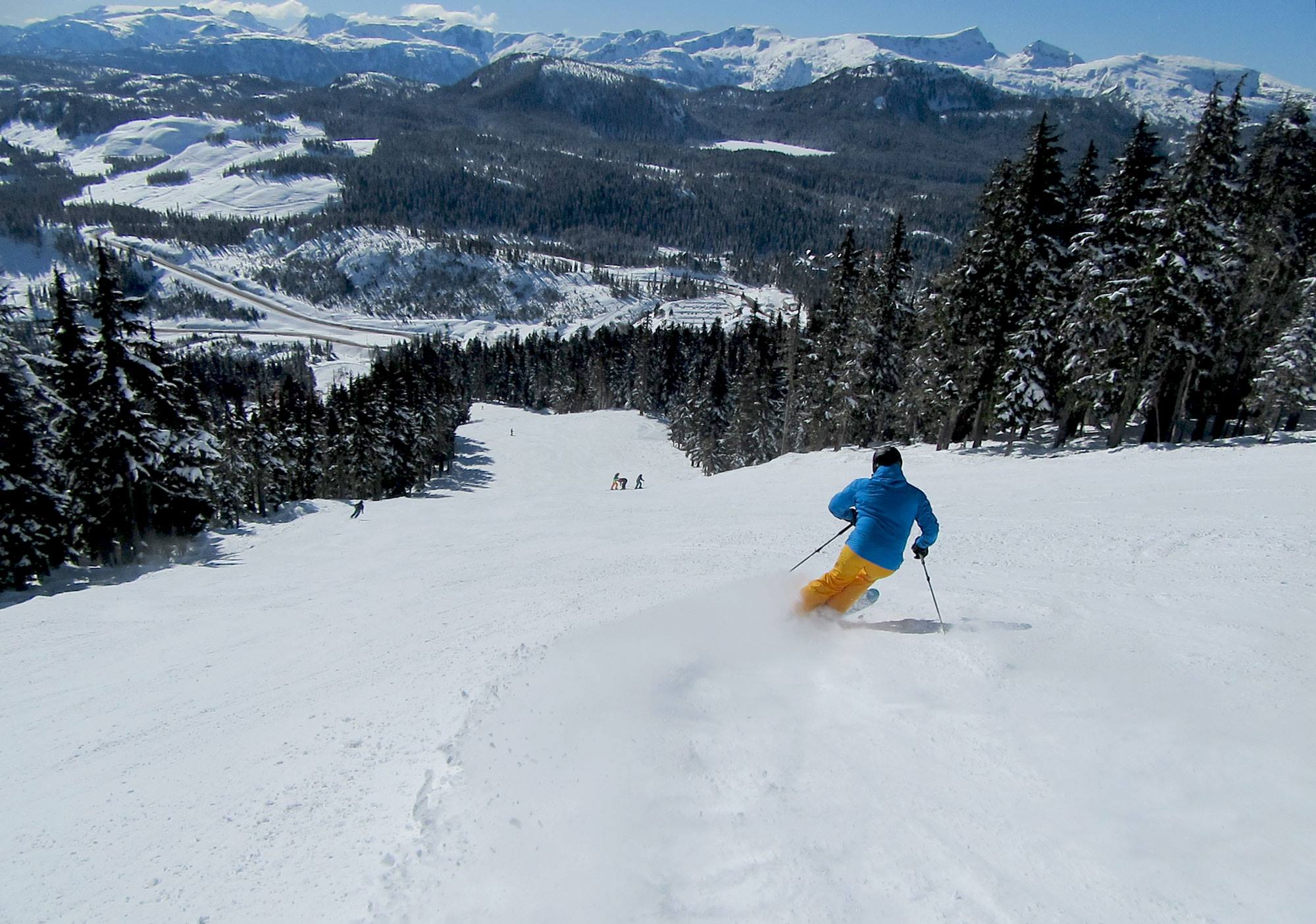 Nice top to bottom groomer