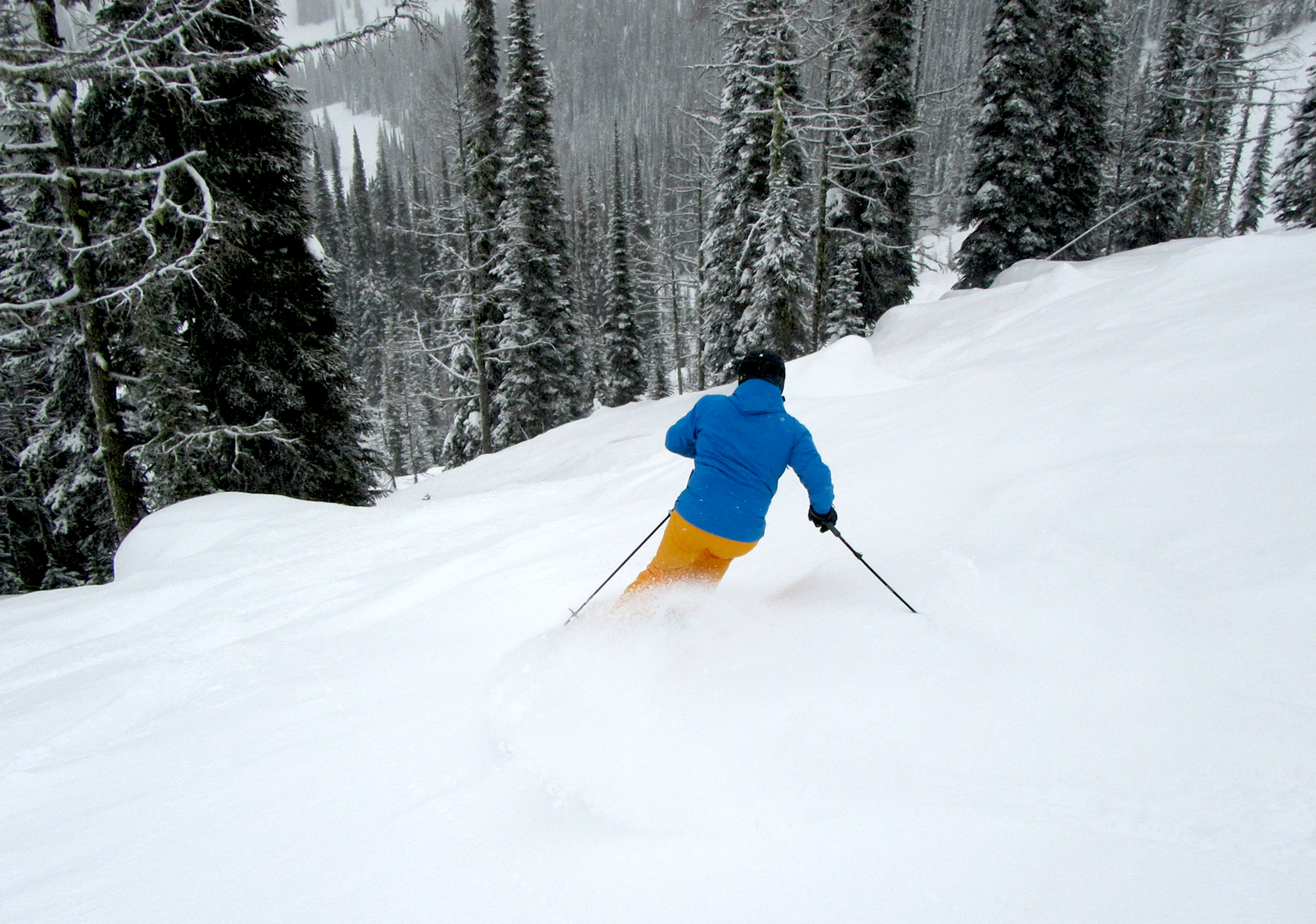 Lots of glades and tree skiing