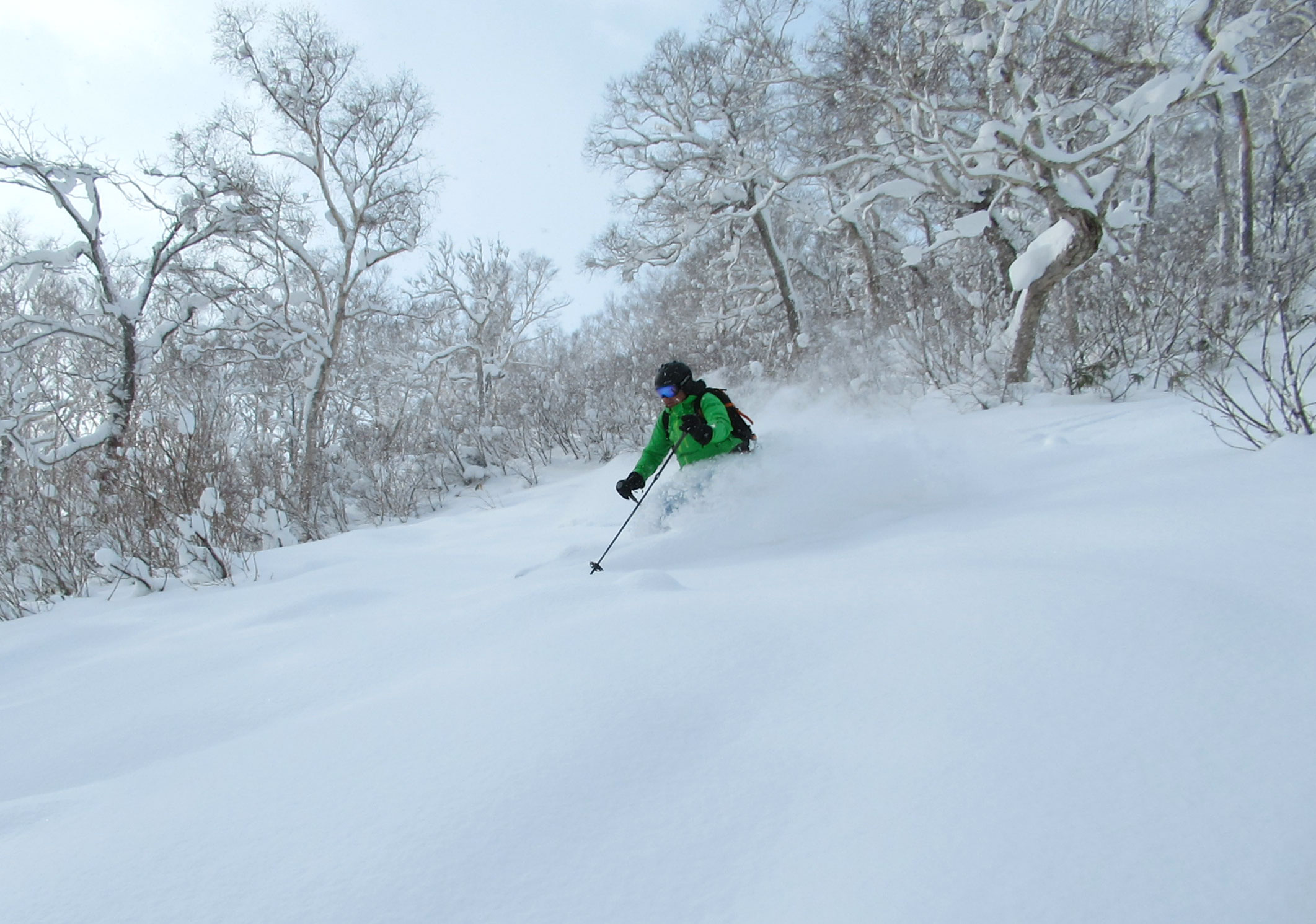 Gorgeous fresh snow