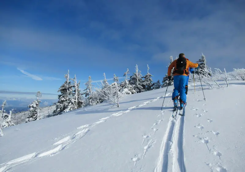 Skinning above the Gondi