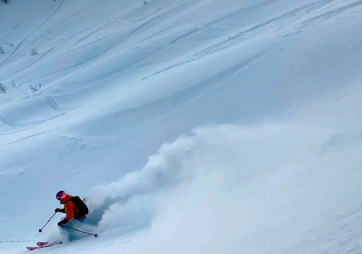 A nice open bowl full of powder