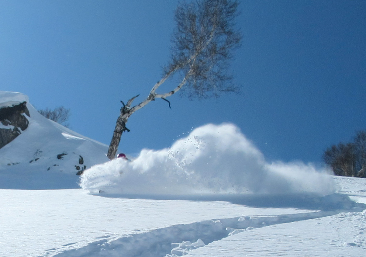 A Glorious Powder Day at Gulmarg