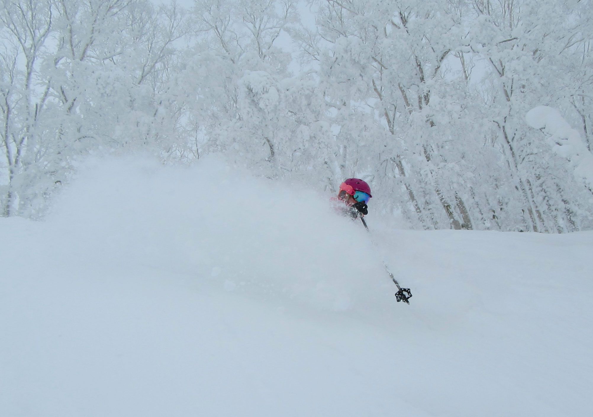 Powder on offer in the side country