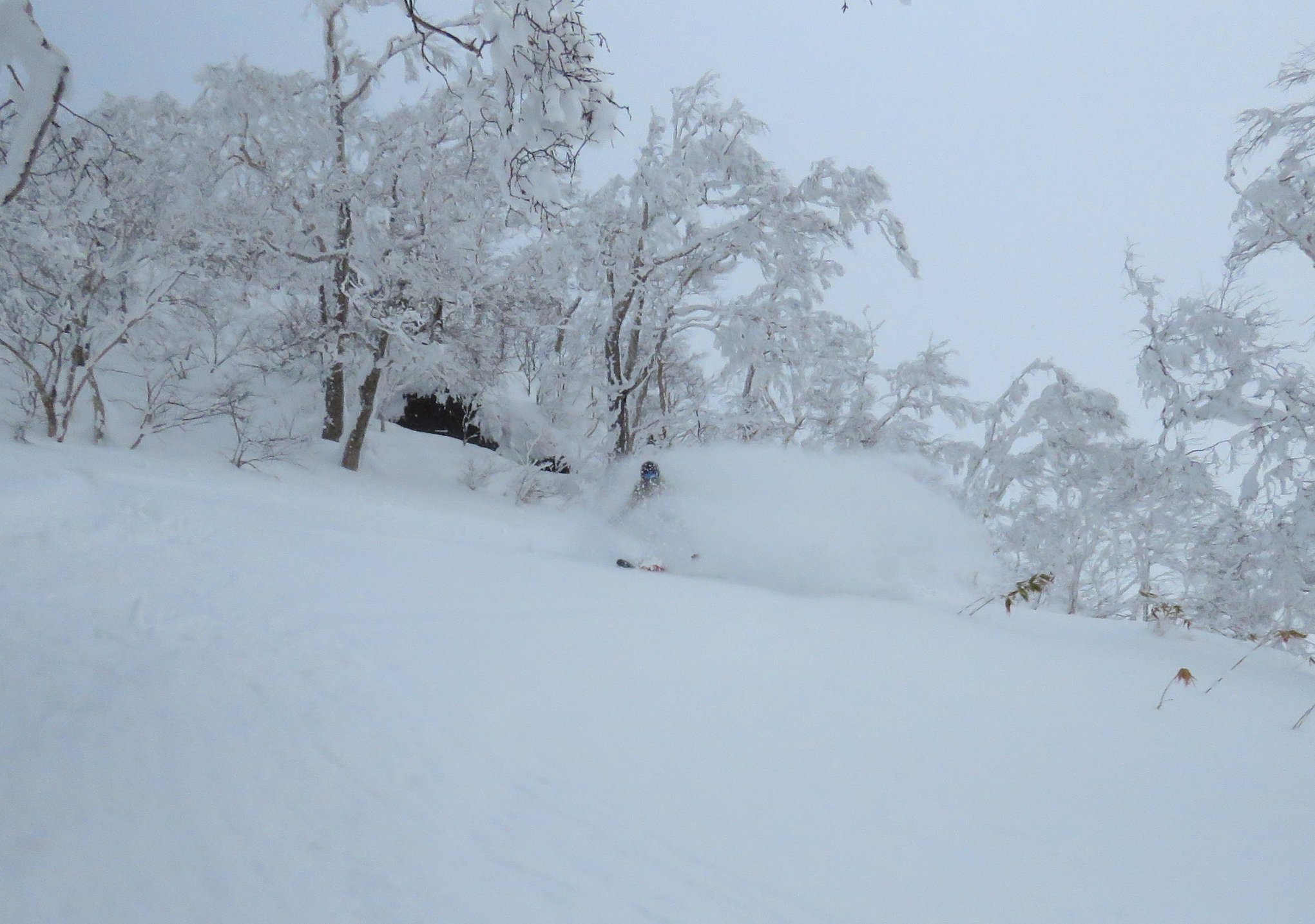 Asahidake: some of the best powder in the world