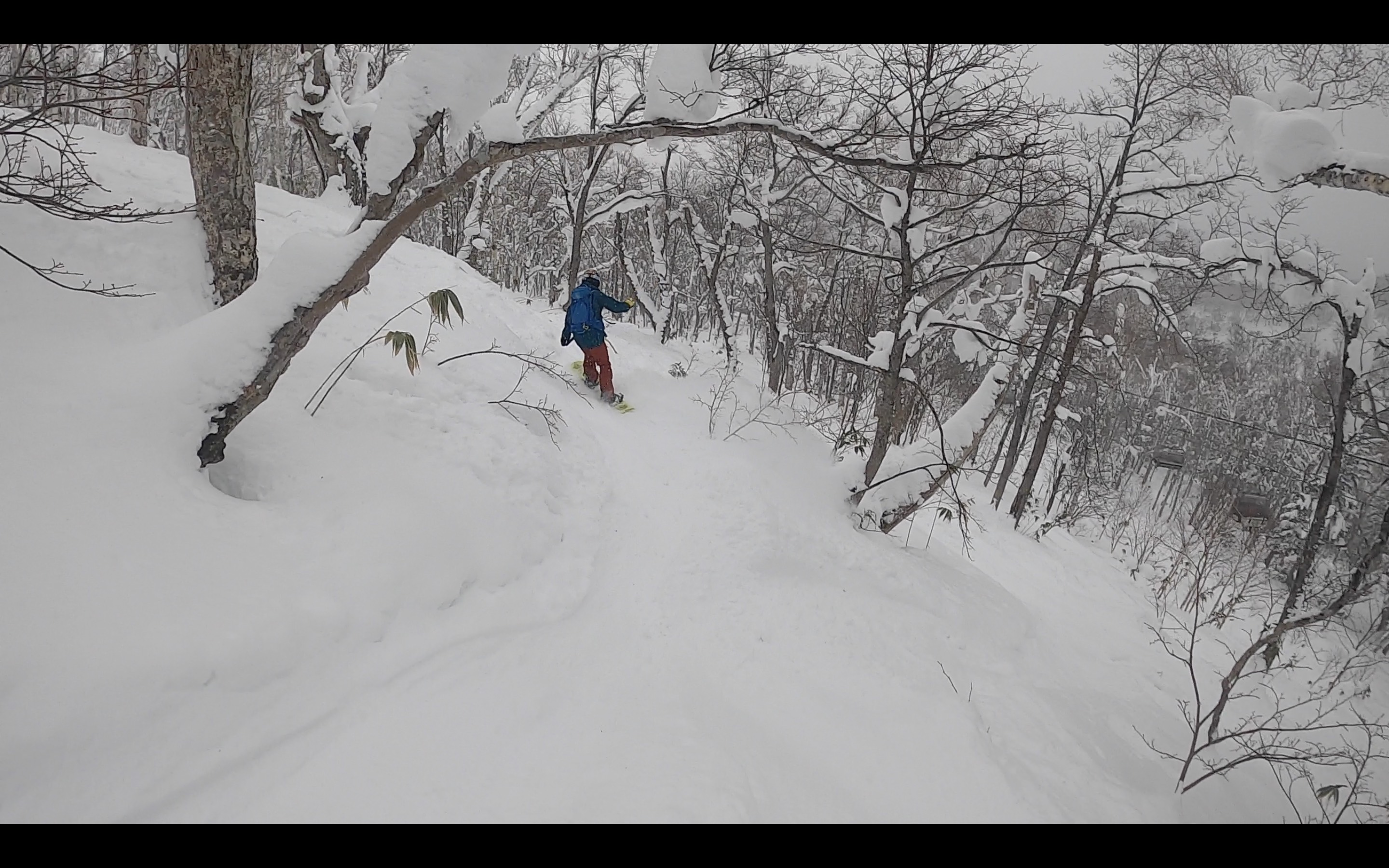 Steeper Section of Trees