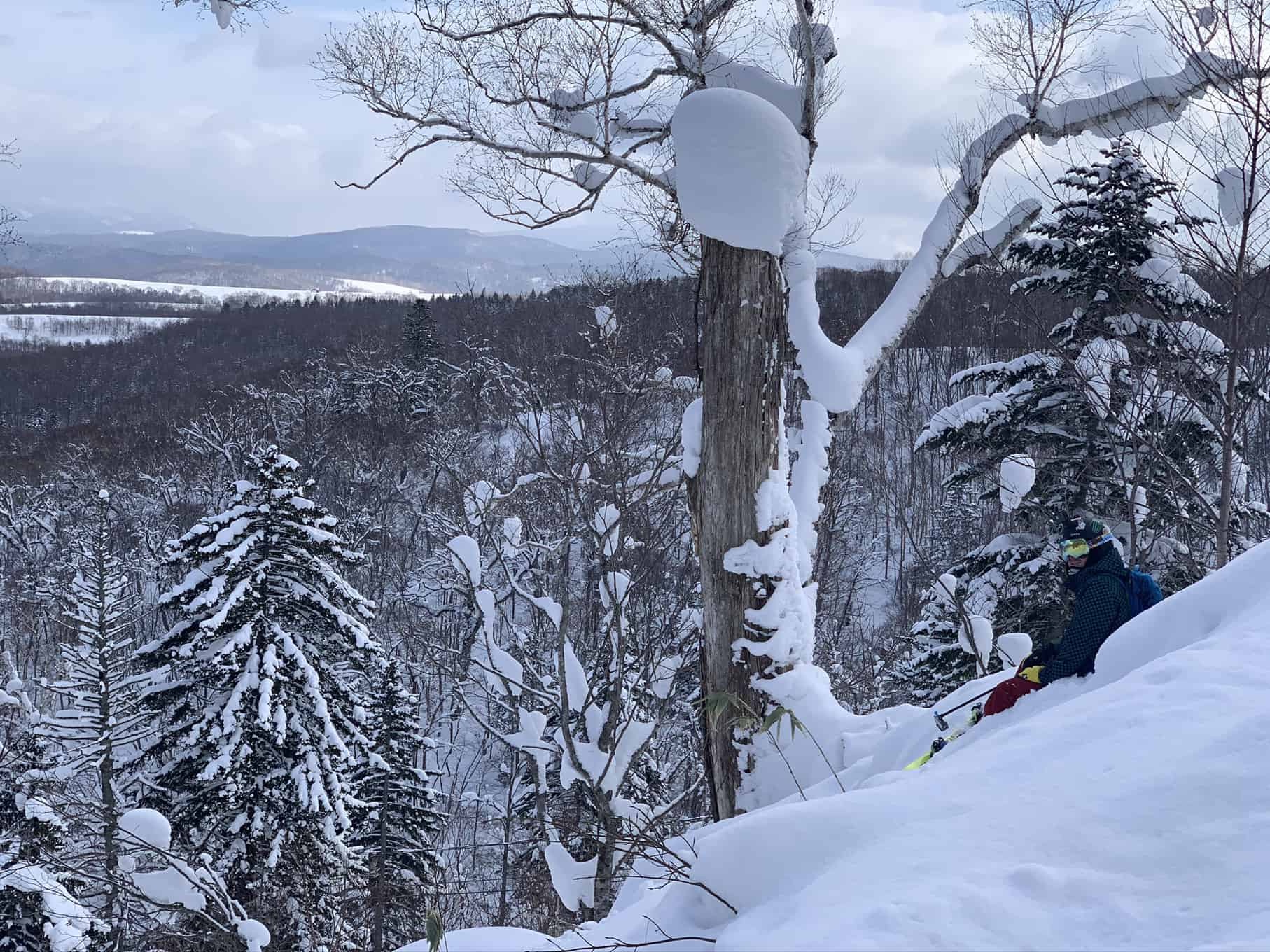 Steepest Section of Trees