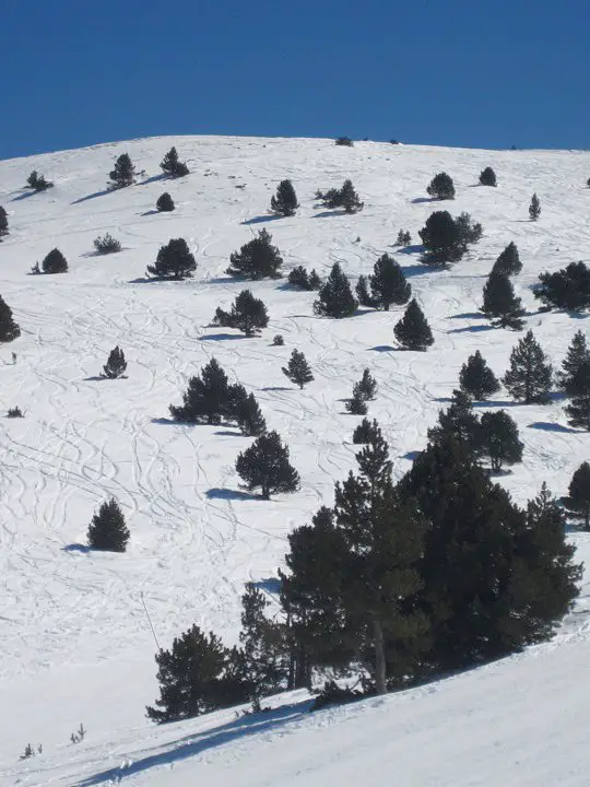 La Molina