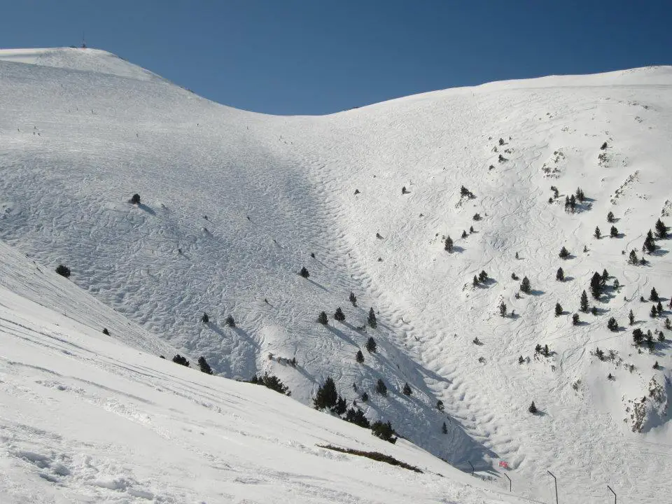 La Tosa, Masella