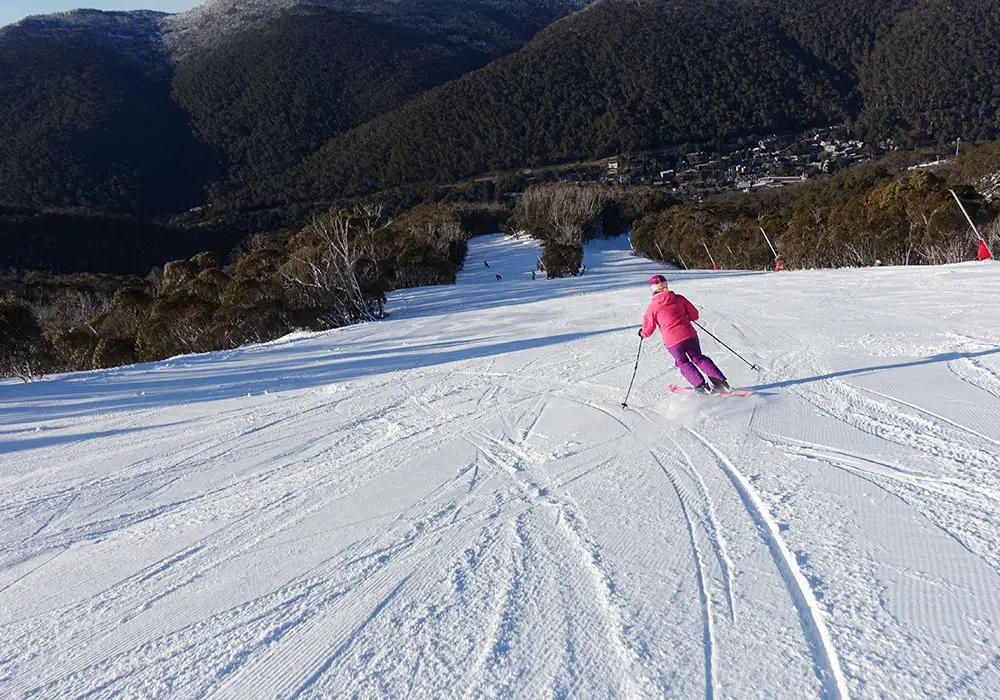 The long groomers were good