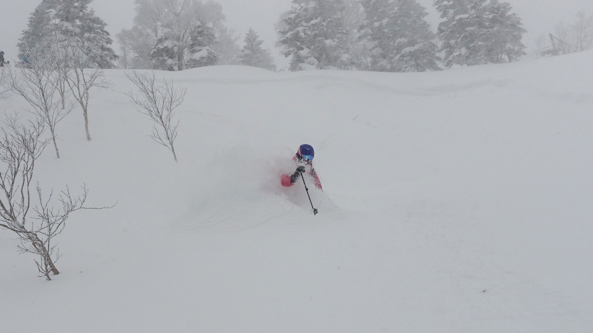 Powder treats