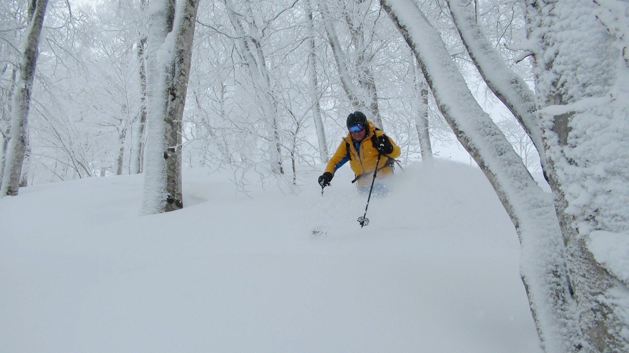 A few freshies about