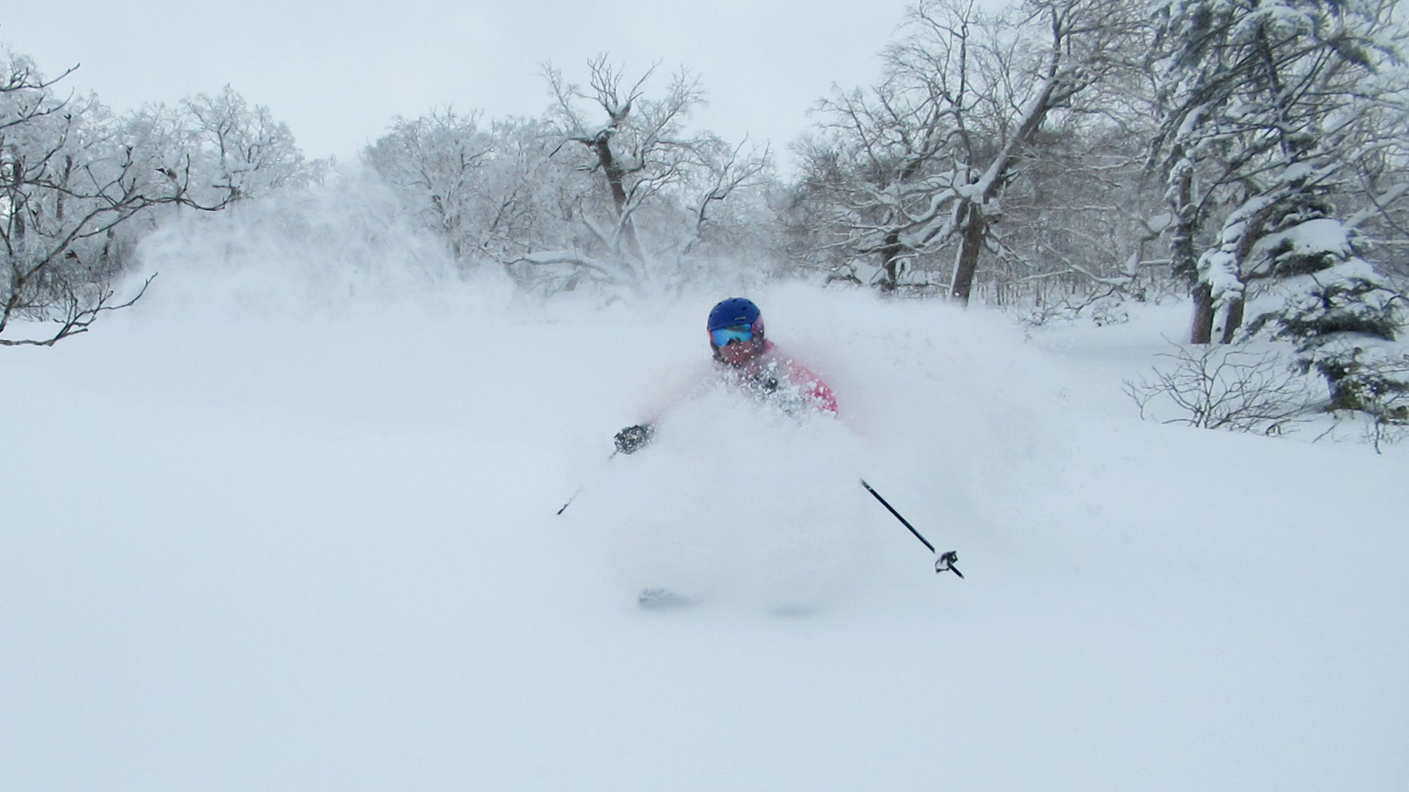 Delicious powder at Tomamu