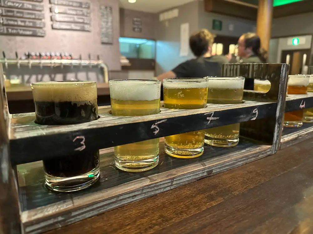 Beer paddles at Brew 19