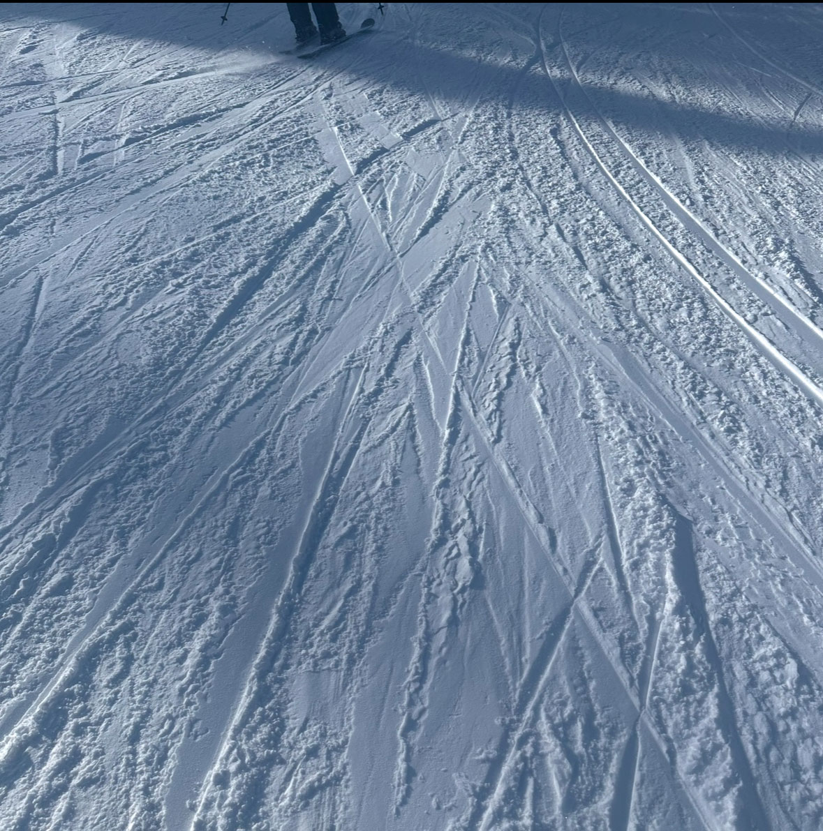 Example of a groomer at 9am