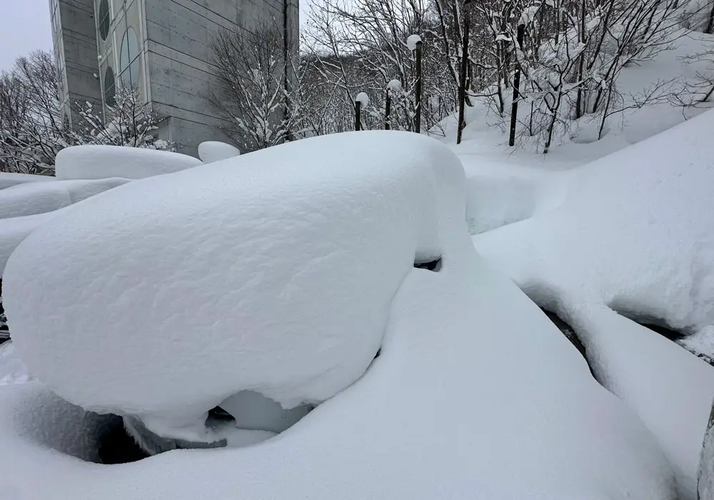 Need to dig the car out yet again