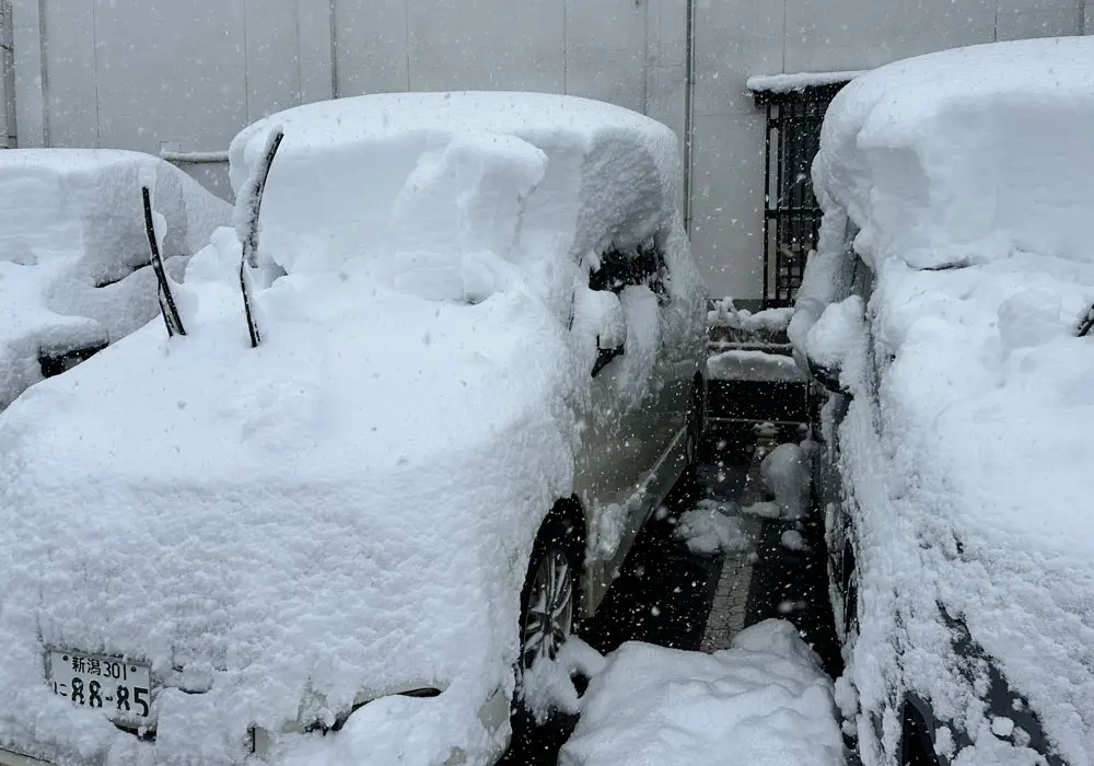 Thank goodness for the onsen heated car park