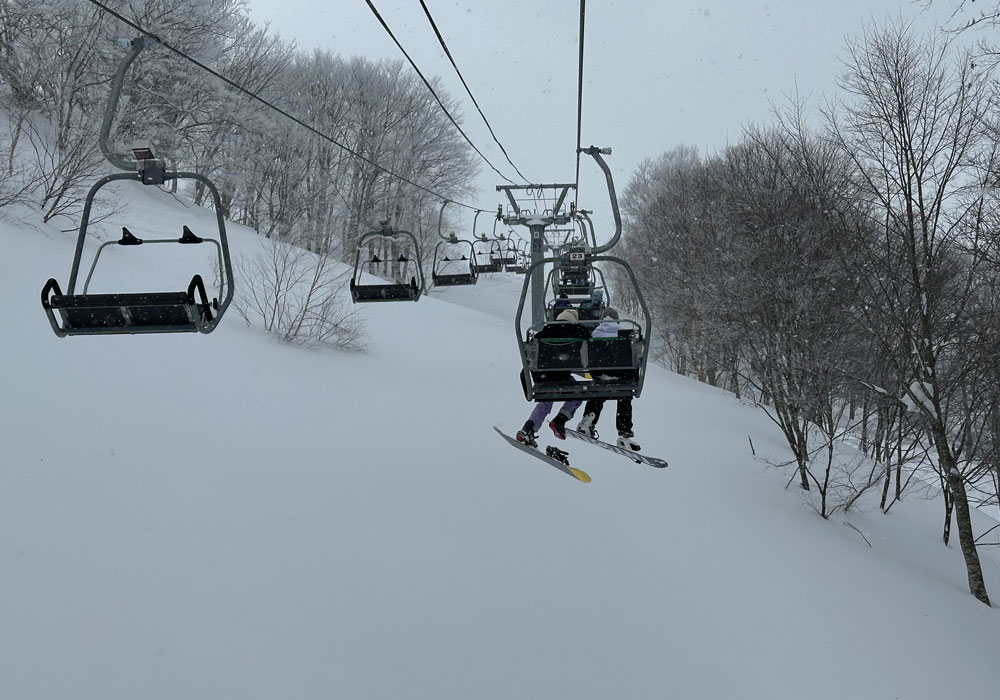 What a waste of fresh powder