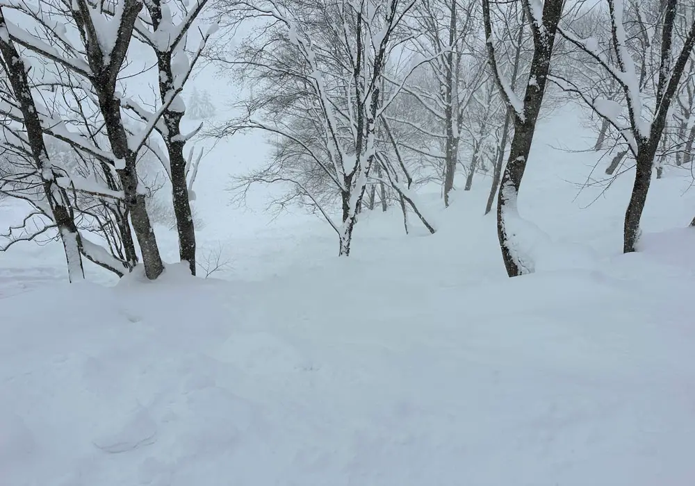 Chunky snow
