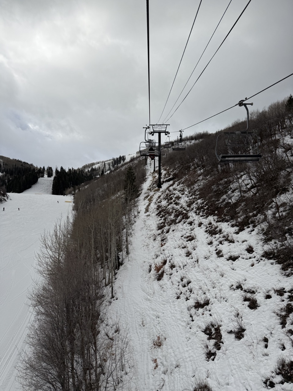 Lot of brown for February