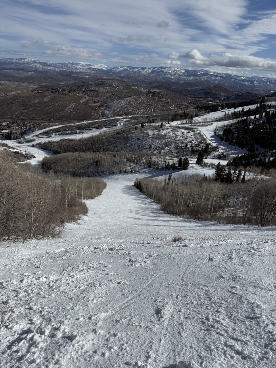 chunks of grass sticking out