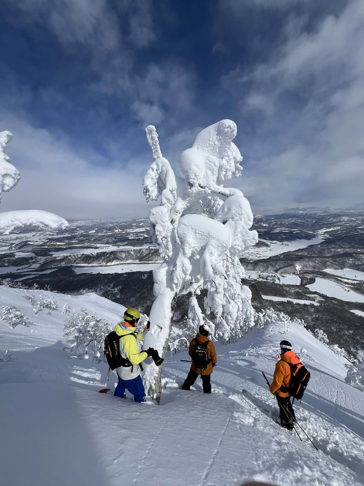 Hanging out with the snow ghosts