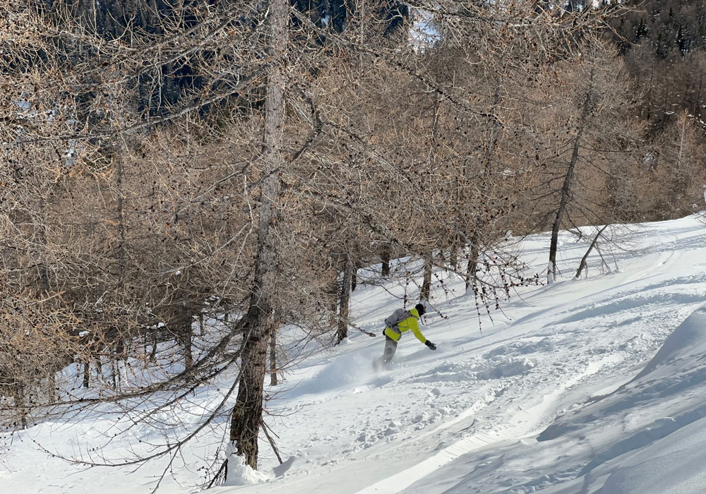 East facing larch tree skiing