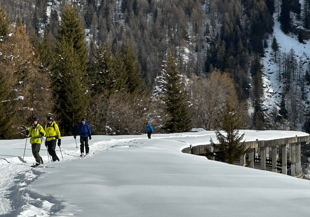Unique backcountry egress