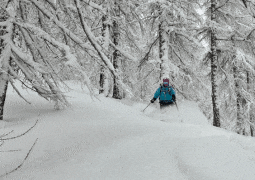 Best Tree Skiing in Italy