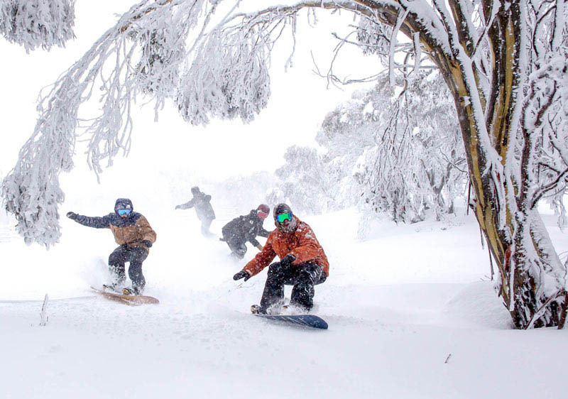 Falls Creek Skiing, Snowboarding Terrain
