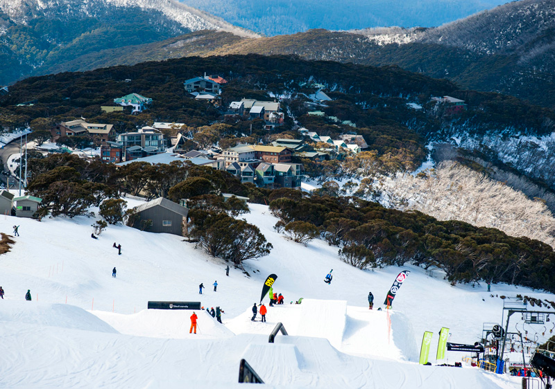 Mount Buller Ski Resort, Terrain, Snow Review